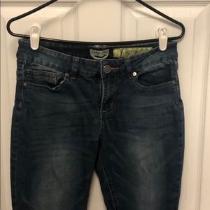 Indigo Rein skinny jean with distress